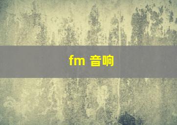 fm 音响